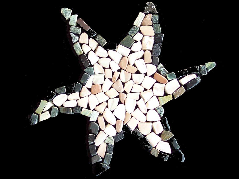 AIT-american-import-tile-mosaic-stone-soho-studio-ebony-star-fish