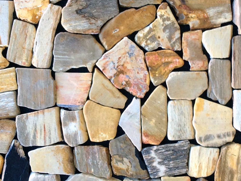 AIT-american-import-tile-mosaic-stone-soho-studio-petrified-forest-mosaic